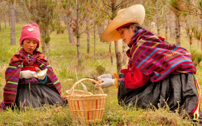Interview with Maria Luisa Chavez; Latin America Manager of The Reciprocity Fund