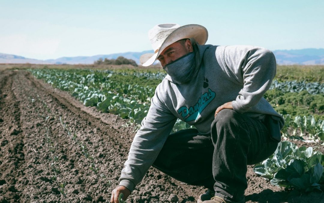 Interview with Reggie Knox, Executive Director of California FarmLink