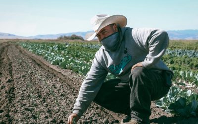 Interview with Reggie Knox, Executive Director of California FarmLink