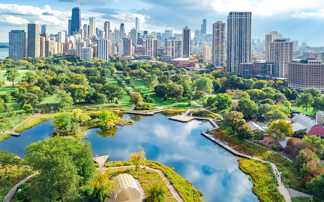 CAJF/ T25: Connect with the CAJF Community